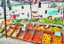 Ferias de la Ciudad, un espacio consolidado con participación de 200 productores y artesanos